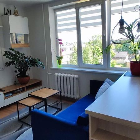 R&J Apartment II Panevėžys 外观 照片