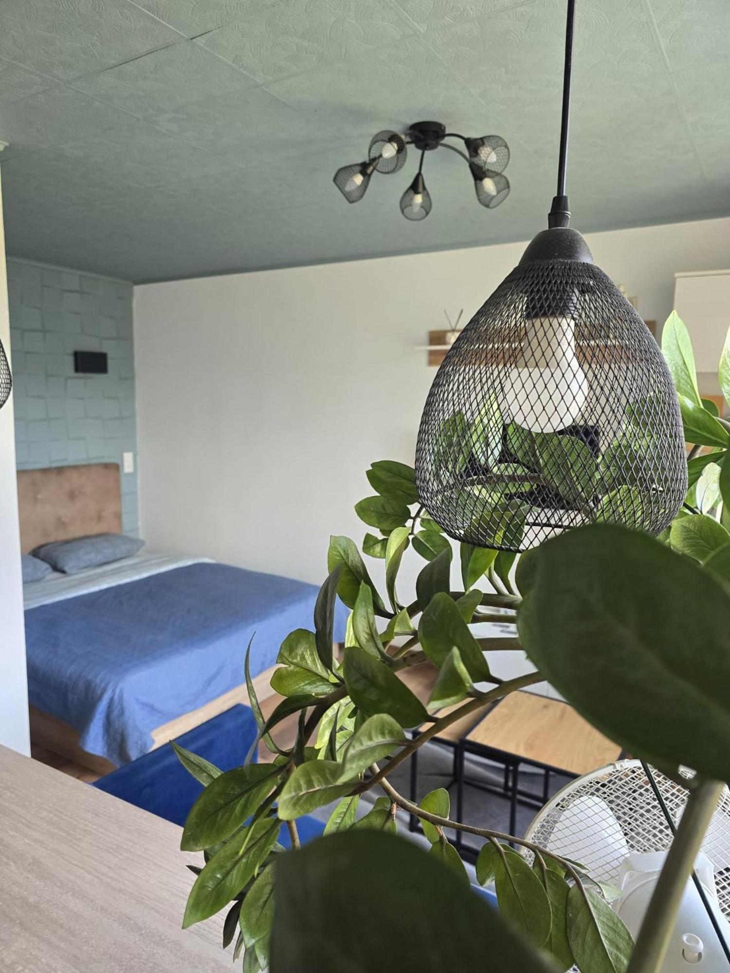 R&J Apartment II Panevėžys 外观 照片